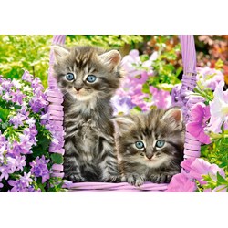 Castorland (C-104086) - "Kitten in Summer Garden" - 1000 pieces puzzle