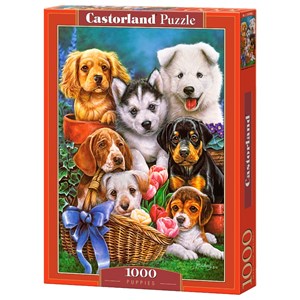 Castorland (C-104048) - "Puppies" - 1000 pieces puzzle