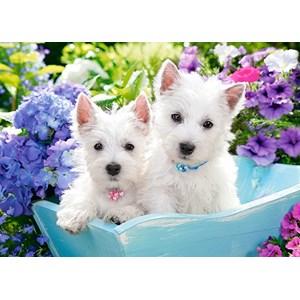 Castorland (B-066100) - "Westie Puppies" - 60 pieces puzzle