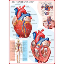 Eurographics (6000-0257) - "The Heart" - 1000 pieces puzzle