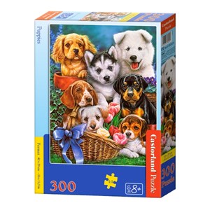 Castorland (B-030323) - "Puppies" - 300 pieces puzzle