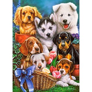Castorland (B-030323) - "Puppies" - 300 pieces puzzle