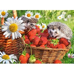 Castorland (B-222025) - "Strawberry Dessert" - 200 pieces puzzle