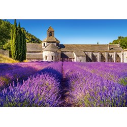 Castorland (C-104284) - "Lavender Field in Provence, France" - 1000 pieces puzzle