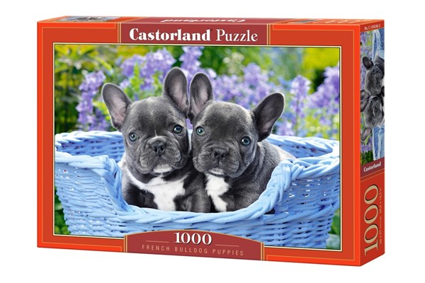 Castorland (C-104246) - "French Bulldog Puppies" - 1000 pieces puzzle
