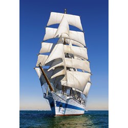 Castorland (C-104239) - "Under Full Sail" - 1000 pieces puzzle