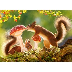 Castorland (B-27521) - "Squirrel's Forest Life" - 260 pieces puzzle