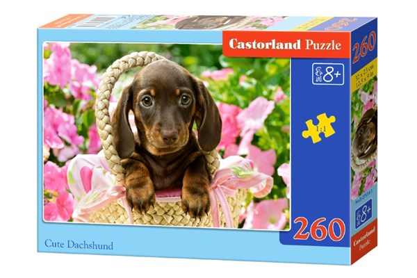 Castorland (B-27514) - "Cute Dachshund" - 260 pieces puzzle