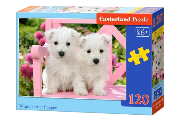 Castorland (B-13494) - "White Terrier Puppies" - 120 pieces puzzle