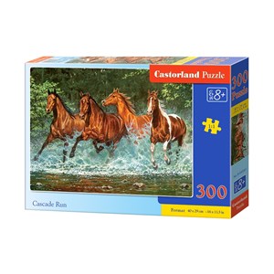 Castorland (B-030361) - "Cascade Run" - 300 pieces puzzle