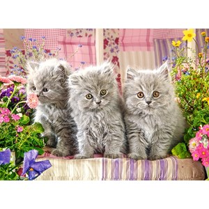 Castorland (B-030330) - "Three Grey Kittens" - 300 pieces puzzle
