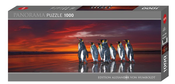 Heye (29858) - Wim van den Heever: "King Penguins" - 1000 pieces puzzle