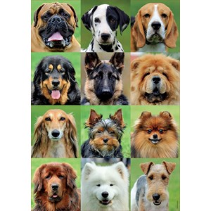 Educa (17963) - "Dogs collage" - 500 pieces puzzle