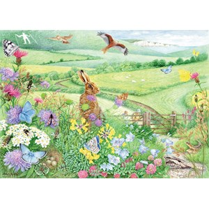 Ravensburger (15176) - Anne Searle: "Walking World, South Downs" - 1000 pieces puzzle