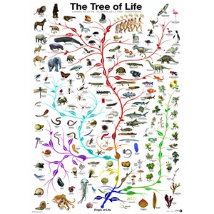 Eurographics (6000-0282) - "The Tree of Life" - 1000 pieces puzzle