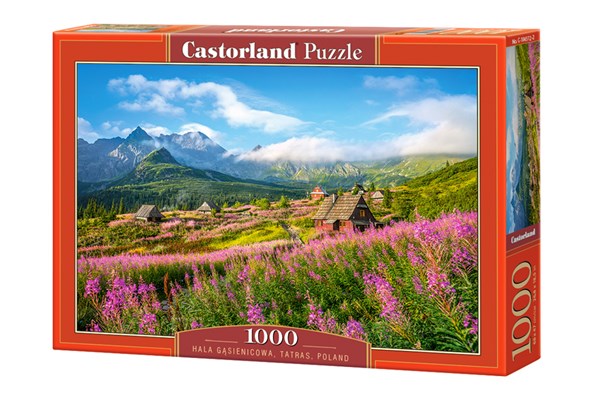 Castorland (C-104512) - "Hala Gasienicowa, Tatras, Poland" - 1000 pieces puzzle