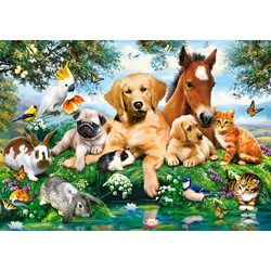 Castorland (B-53230) - "Summer Pals" - 500 pieces puzzle