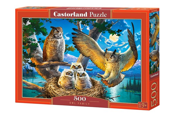 Castorland (B-53322) - "Owl Family" - 500 pieces puzzle