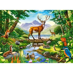 Castorland (B-030408) - "Woodland Harmony" - 300 pieces puzzle