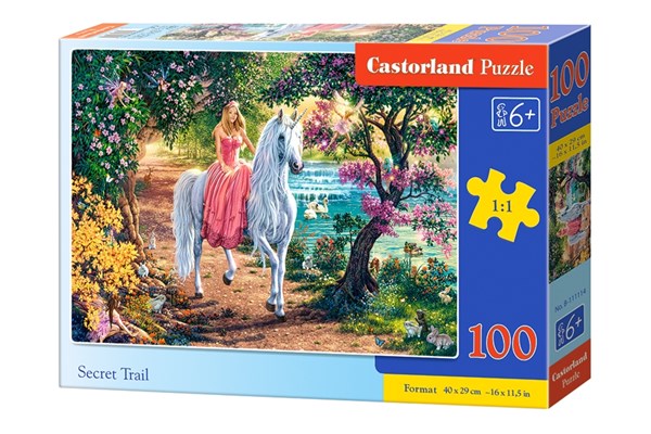 Castorland (B-111114) - "Secret Trail" - 100 pieces puzzle
