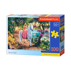 Castorland (B-111114) - "Secret Trail" - 100 pieces puzzle