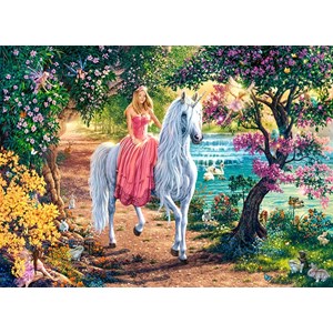 Castorland (B-111114) - "Secret Trail" - 100 pieces puzzle