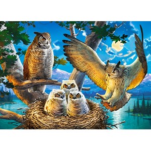 Castorland (B-018437) - "Owl Family" - 180 pieces puzzle