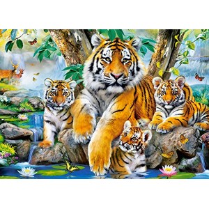 Castorland (B-13517) - "Tigers by the Stream" - 120 pieces puzzle