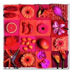Educa (18454) - Andrea Tilk: "Fruits and Flowers" - 500 pieces puzzle