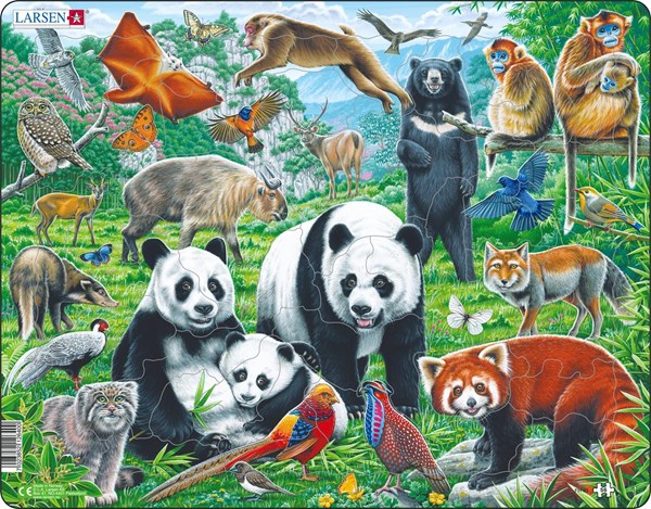 Larsen (FH43) - "Panda Bear Family on a China Mountain Plateau" - 56 pieces puzzle