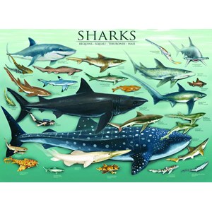 Eurographics (6000-0079) - "Sharks" - 1000 pieces puzzle