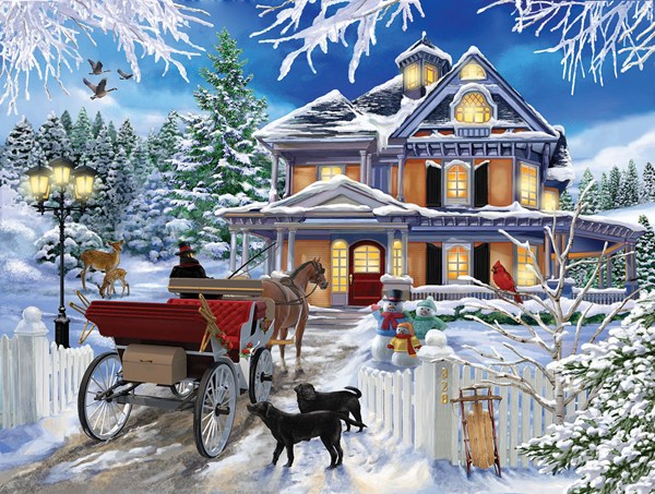 SunsOut (31433) - "Winter Visit" - 300 pieces puzzle