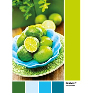 Clementoni (39492) - "Juicy Limes" - 1000 pieces puzzle