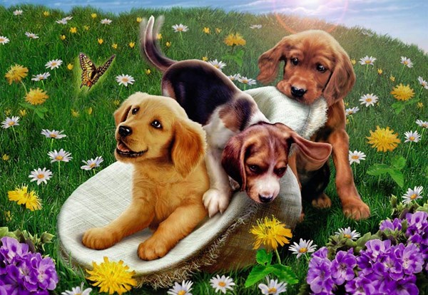 Ravensburger (05428) - Andrew Farley: "Frolicking Puppies" - 24 pieces puzzle