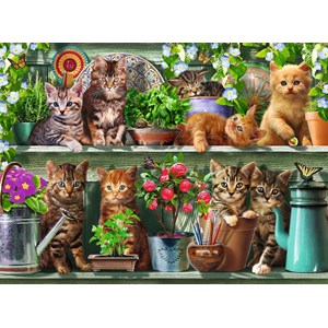 Ravensburger (14824) - "Cats on the Shelf" - 500 pieces puzzle