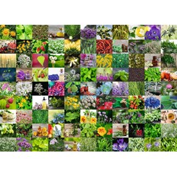 Ravensburger (15991) - "99 Herbs and Spices" - 1000 pieces puzzle