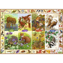 Falcon (11200) - Sarah Adams: "Seasonal Wildlife" - 1000 pieces puzzle