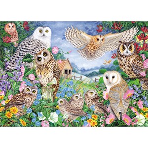Falcon (11286) - Claire Comerford: "Owls in the Wood" - 1000 pieces puzzle