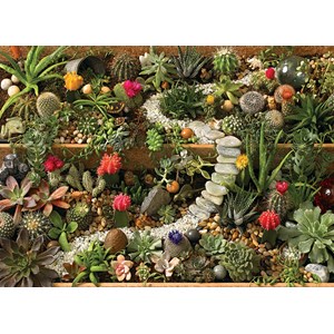 Cobble Hill (80157) - "Succulent Garden" - 1000 pieces puzzle