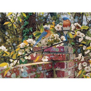 Cobble Hill (80137) - "Backyard Blues" - 1000 pieces puzzle