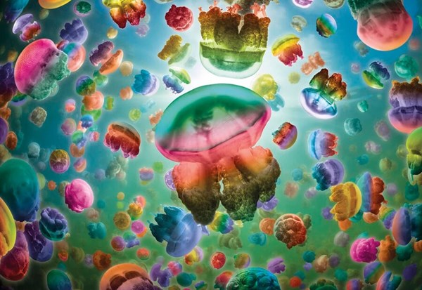 Gibsons (G6602) - "Jellyfish" - 1000 pieces puzzle