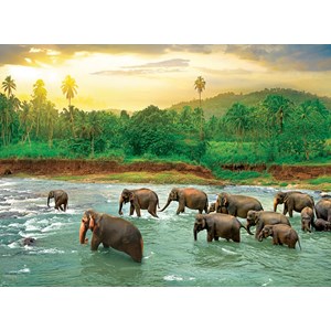 Eurographics (6000-5540) - "Rainforest" - 1000 pieces puzzle