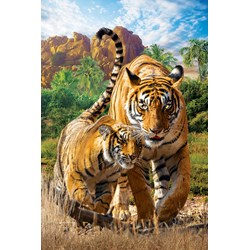 Eurographics (8251-5559) - "Tigers" - 250 pieces puzzle