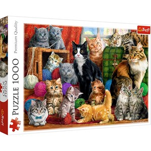 Trefl (10555) - "Cats Meeting" - 1000 pieces puzzle
