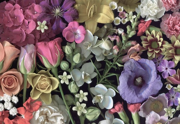 Cloudberries (33006) - "Flowers" - 1000 pieces puzzle