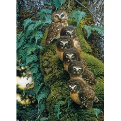 Cobble Hill (80018) - "Family Tree" - 1000 pieces puzzle