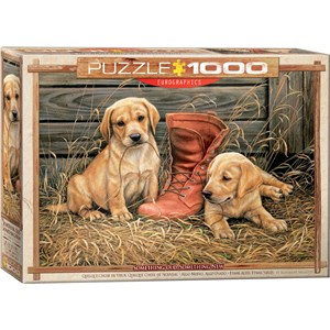 Eurographics (6000-0795) - Rosemary Millette: "Something Old Something New" - 1000 pieces puzzle