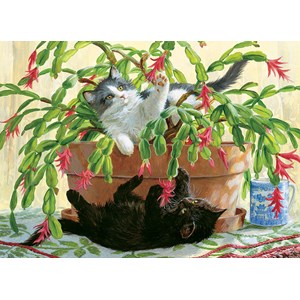 Cobble Hill (80031) - "Cactus Kitties" - 1000 pieces puzzle
