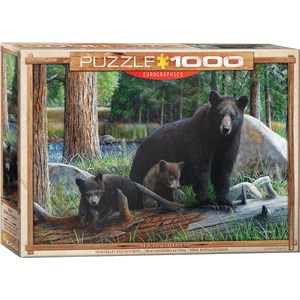 Eurographics (6000-0793) - "New Discoveries" - 1000 pieces puzzle