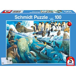 Schmidt Spiele (56295) - "Polar Animals Circle" - 100 pieces puzzle
